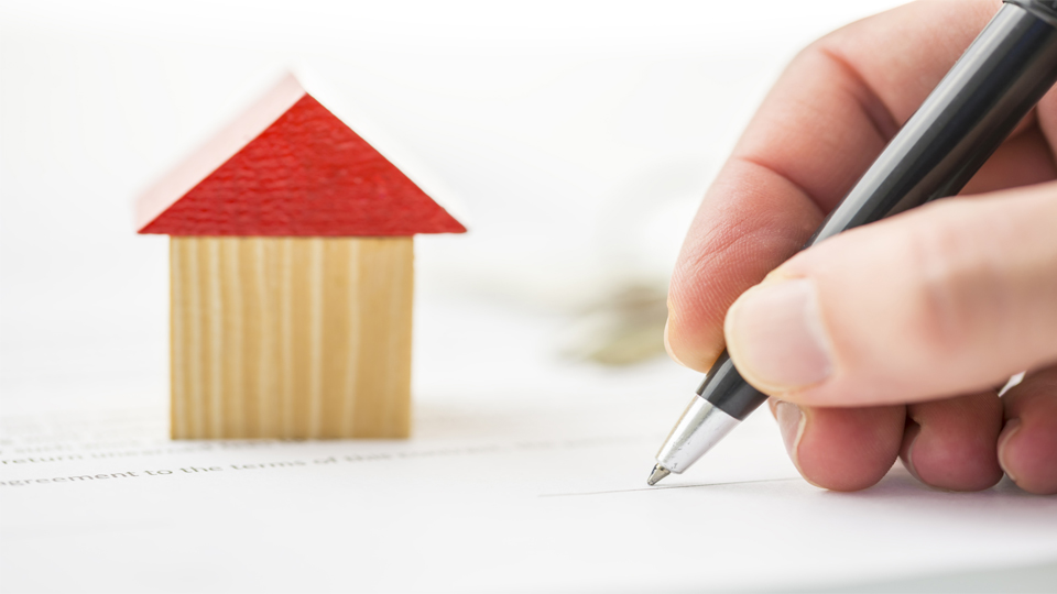Hợp đồng cho thuê được thành lập với nhiều điều khoản khác nhau